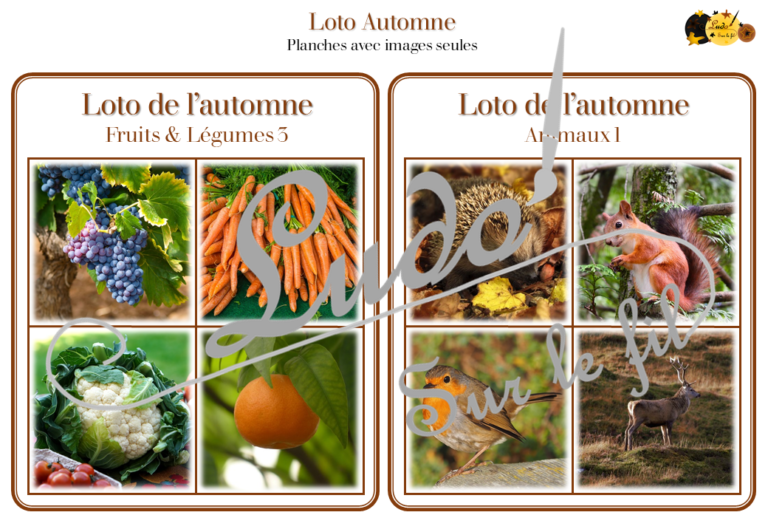 Loto Combinable Automne Ludo Sur Le Fil