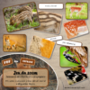 Jeu du zoom - Animaux de la forêt et des campagnes - Cartes classifiées à associer aux détails - Loupe - Etiquettes noms pour alternative ludique aux cartes de nomenclature - Autocorrection au dos avec symboles, noms - document PDF à télécharger et à imprimer ou jeu imprimé - atelier autonome maternelle - vocabulaire et connaissances - lecture mots - discrimination visuelle - Thème automne, animaux, oiseaux, insectes - lslf