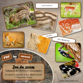 Jeu du zoom - Animaux de la forêt et des campagnes - Cartes classifiées à associer aux détails - Loupe - Etiquettes noms pour alternative ludique aux cartes de nomenclature - Autocorrection au dos avec symboles, noms - document PDF à télécharger et à imprimer ou jeu imprimé - atelier autonome maternelle - vocabulaire et connaissances - lecture mots - discrimination visuelle - Thème automne, animaux, oiseaux, insectes - lslf