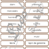 Jeu du Zoom - Animaux de la forêt et des campagnes – Image 5