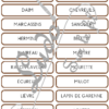 Jeu du zoom - Animaux de la forêt et des campagnes - Cartes classifiées à associer aux détails - Loupe - Etiquettes noms pour alternative ludique aux cartes de nomenclature - Autocorrection au dos avec symboles, noms - document PDF à télécharger et à imprimer ou jeu imprimé - atelier autonome maternelle - vocabulaire et connaissances - lecture mots - discrimination visuelle - Thème automne, animaux, oiseaux, insectes - lslf