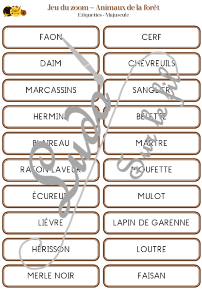 Jeu du zoom - Animaux de la forêt et des campagnes - Cartes classifiées à associer aux détails - Loupe - Etiquettes noms pour alternative ludique aux cartes de nomenclature - Autocorrection au dos avec symboles, noms - document PDF à télécharger et à imprimer ou jeu imprimé - atelier autonome maternelle - vocabulaire et connaissances - lecture mots - discrimination visuelle - Thème automne, animaux, oiseaux, insectes - lslf