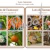 Loto combinable - automne - images photos noms et mots - jeu progressif et à combiner - lecture et observation - discrimination visuelle - fruits et légumes, animaux, objets, vêtements, météo,, fêtes et événements, éléments symboliques saisons, Halloween - PDF à télécharger et à imprimer ou jeu imprimé - Atelier maternelle ou cycle 2 - lexique vocabulaire - lslf