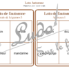 Loto combinable - automne - images photos noms et mots - jeu progressif et à combiner - lecture et observation - discrimination visuelle - fruits et légumes, animaux, objets, vêtements, météo,, fêtes et événements, éléments symboliques saisons, Halloween - PDF à télécharger et à imprimer ou jeu imprimé - Atelier maternelle ou cycle 2 - lexique vocabulaire - lslf
