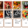 Loto combinable - automne - images photos noms et mots - jeu progressif et à combiner - lecture et observation - discrimination visuelle - fruits et légumes, animaux, objets, vêtements, météo,, fêtes et événements, éléments symboliques saisons, Halloween - PDF à télécharger et à imprimer ou jeu imprimé - Atelier maternelle ou cycle 2 - lexique vocabulaire - lslf