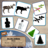 Jeu des ombres - Hiver - animaux du froid, fruits et légumes, nature, vêtements, évènements, noël, objets - cartes à associer aux ombres - PDF à télécharger et à imprimer ou jeu imprimé - atelier autocorrectif maternelle - lslf