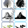 Jeu des ombres - Hiver - animaux du froid, fruits et légumes, nature, vêtements, évènements, noël, objets - cartes à associer aux ombres - PDF à télécharger et à imprimer ou jeu imprimé - atelier autocorrectif maternelle - lslf