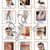 Loto combinable - Parties du corps humain - images noms - jeu progressif et à combiner - lecture et observation - travail de vocabulaire et du langage oral - à télécharger et à imprimer - Atelier maternelle - lslf