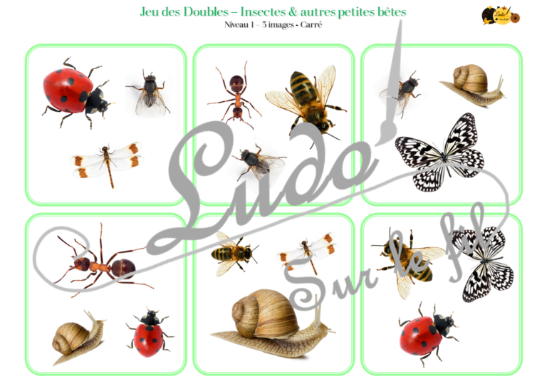 Jeu des doubles - Insectes et autres petites bêtes - Ludo Sur Le Fil
