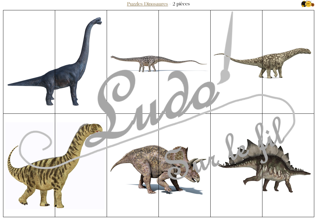 Puzzle évolutif : Dinosaures (6, 9, 12 et 16 pc) • Librairie Florilège à  Mons