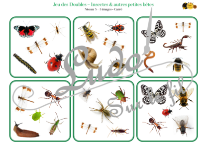 Jeu des doubles - insectes et autres petites bêtes du jardin à télécharger et à imprimer - 5 niveaux progressifs (3 4 5 6 ou 8 images) - Printemps - Dobble - jeu pour travailler la discrimination visuelle, la rapidité l'observation et le lexique / vocabulaires des insectes - animaux - lslf