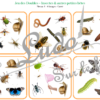 Jeu des doubles - insectes et autres petites bêtes du jardin à télécharger et à imprimer - 5 niveaux progressifs (3 4 5 6 ou 8 images) - Printemps - Dobble - jeu pour travailler la discrimination visuelle, la rapidité l'observation et le lexique / vocabulaires des insectes - animaux - lslf