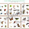 Jeu des doubles - insectes et autres petites bêtes du jardin à télécharger et à imprimer - 5 niveaux progressifs (3 4 5 6 ou 8 images) - Printemps - Dobble - jeu pour travailler la discrimination visuelle, la rapidité l'observation et le lexique / vocabulaires des insectes - animaux - lslf