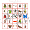 Suis le parcours codé - insectes et petites bêtes du jardin - animaux et printemps - codage, repérage et vocabulaire spatial - jeu et atelier autonome et autocorrectif Maternelle (Cycle 1) et Primaire (Cycle 2) - à télécharger et à imprimer - difficulté progressive et solutions - lslf
