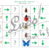 Suis le parcours codé - insectes et petites bêtes du jardin - animaux et printemps - codage, repérage et vocabulaire spatial - jeu et atelier autonome et autocorrectif Maternelle (Cycle 1) et Primaire (Cycle 2) - à télécharger et à imprimer - difficulté progressive et solutions - lslf