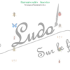 Suis le parcours codé - insectes et petites bêtes du jardin - animaux et printemps - codage, repérage et vocabulaire spatial - jeu et atelier autonome et autocorrectif Maternelle (Cycle 1) et Primaire (Cycle 2) - à télécharger et à imprimer - difficulté progressive et solutions - lslf