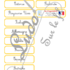 Jeu d'association - Drapeaux, carte, noms des pays d'Europe - Union Européenne, Espace Schengen et Royaume-Uni - Géographie et pays - 32 cartes Drapeaux Europe à associer à 32 cartes et 32 étiquettes Noms - atelier autocorrectif maternelle ou élémentaire - Cycle 1, 2 ou 3 - Cartes avec noms des pays ou sans - discrimination visuelle, observation, lecture de mots, connaissance des drapeaux et pays - à télécharger et à imprimer ou jeu imprimé- lslf