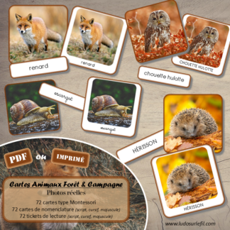 Jeu de cartes type Montessori (classifiées et de nomenclature) - Animaux de la forêt, de la campagne et des bois - Mammifères, oiseaux, reptiles, insectes... - Europe et France -Photos réelles - Autocorrection au dos (noms pour lecteurs, symboles pour non lecteur) - 3 graphies disponibles - Script, majuscule, cursif - Document PDF à télécharger et imprimer ou jeu imprimé - Automne - 72 cartes - Tickets de lecture - atelier autocorrectif maternelle élémentaire - Cycle 1 ou 2 - discrimination visuelle, observation, culture générale, lecture de mots, langage oral, lexique - lslf