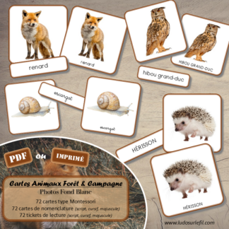 Jeu de cartes type Montessori (classifiées et de nomenclature) - Animaux de la forêt et des campagnes - Mammifères, oiseaux, reptiles, insectes... - Europe - Photos sur fond blanc - Autocorrection au dos (noms pour lecteurs, symboles pour non lecteur) - 3 graphies disponibles - Script, majuscule, cursif - Document PDF à télécharger et imprimer ou jeu imprimé - Automne - 72 cartes - Tickets de lecture - atelier autocorrectif maternelle élémentaire - Cycle 1 ou 2 - discrimination visuelle, observation, culture générale, lecture de mots, langage oral, lexique- lslf