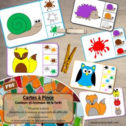 Jeu de cartes à pince sur les couleurs et les animaux de la forêt - 78 cartes réparties en 6 niveaux de difficulté - progressif - 1, 2, 3 couleurs - Animal et couleur ou deux animaux différents - Autocorrection au dos - Atelier préscolaire et maternelle autonome - Document PDF à télécharger et imprimer ou jeu imprimé - Motricité fine et pince Pouce-Index avec pinces à linge - ludique - lslf