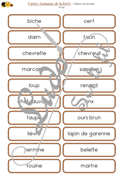 Jeu de cartes type Montessori (classifiées et de nomenclature) - Animaux de la forêt, de la campagne et des bois - Mammifères, oiseaux, reptiles, insectes... - Europe et France -Photos réelles - Autocorrection au dos (noms pour lecteurs, symboles pour non lecteur) - 3 graphies disponibles - Script, majuscule, cursif - Document PDF à télécharger et imprimer ou jeu imprimé - Automne - 72 cartes - Tickets de lecture - atelier autocorrectif maternelle élémentaire - Cycle 1 ou 2 - discrimination visuelle, observation, culture générale, lecture de mots, langage oral, lexique - lslf