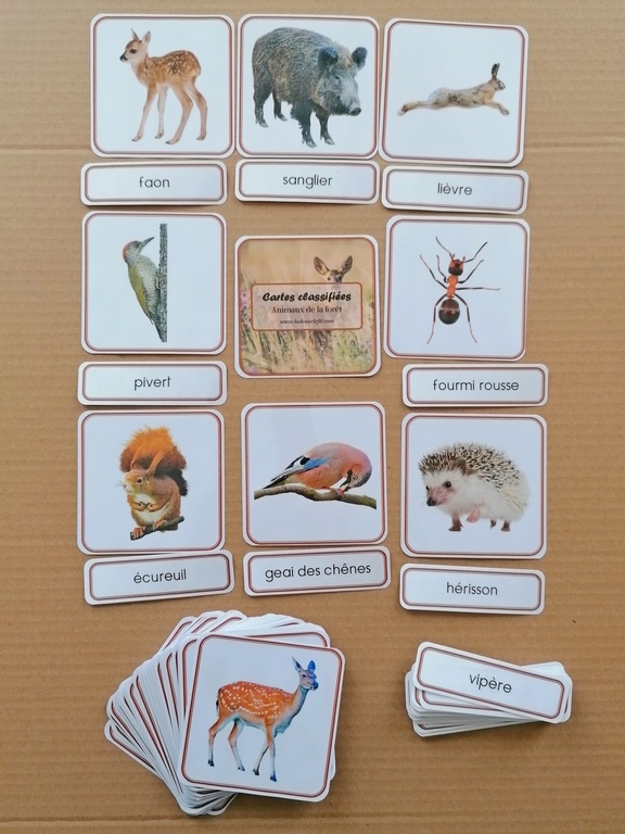 Cartes de nomenclature les animaux de la foret – Lud'Y Key