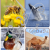 Jeu Abécédaire Photos sur les animaux - 3 formats (cartes, petites affiches, grandes affiches) - Photos réelles - Version 4 graphies (Majuscules imprimerie, minuscules script, minuscules et majuscules cursif) - ou version Lettre type graffiti et nom de l'animal - Autocorrection au dos (noms de l'animal) - Document PDF à télécharger et imprimer ou jeu imprimé - Apprentissage lettres, alphabet, ordre alphabétique - cartes à manipuler en atelier ou affichage classe - Maternelle - Cycle 1 - discrimination visuelle, vocabulaire, lecture de mots, langage oral, lexique - lslf