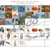 Calendrier de avent - Devinettes Animaux - Remplis l'affiche avec les photos d'animaux à coller - Travail de la lecture et de la compréhension de l'écrit - 24 devinettes pour mieux connaitre les animaux de la forêt, de la banquise, de la mer et de la savane. Différents niveaux d'aide - jeu autocorrectif - autocorrection possible - observation, logique, sens de la déduction, vocabulaire - maternelle ou cycle 2 - jeu PDF à télécharger et à imprimer ou jeu imprimé - lslf