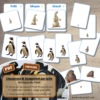 Jeu de classement, de rangement et de tri par taille - Animaux du froid (banquise et montagne) - cartes à trier, à classer et à ranger - fichier PDF à télécharger et à imprimer ou jeu imprimé - atelier autocorrectif maternelle et pré-scolaire - lslf