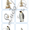 Jeu de classement, de rangement et de tri par taille - Animaux du froid (banquise et montagne) - cartes à trier, à classer et à ranger - fichier PDF à télécharger et à imprimer ou jeu imprimé - atelier autocorrectif maternelle et pré-scolaire - lslf