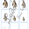 Jeu de classement, de rangement et de tri par taille - Animaux du froid (banquise et montagne) - cartes à trier, à classer et à ranger - fichier PDF à télécharger et à imprimer ou jeu imprimé - atelier autocorrectif maternelle et pré-scolaire - lslf