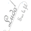 Jeu de la loupe - Miniatures - Formes et couleurs - cartes à associer aux miniatures - format PDF à télécharger et à imprimer ou jeu imprimé - atelier autocorrectif et autonome maternelle - observation, discrimination visuelle, utilisation de la loupe, vocabulaire - autocorrection non-lecteurs - lslf