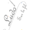 Jeu de la loupe - Miniatures - Formes et couleurs - cartes à associer aux miniatures - format PDF à télécharger et à imprimer ou jeu imprimé - atelier autocorrectif et autonome maternelle - observation, discrimination visuelle, utilisation de la loupe, vocabulaire - autocorrection non-lecteurs - lslf