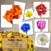 Jeu de puzzles - Fleurs - Printemps - 2 et 4 pièces - Demi fleurs - 53 photos à reconstituer - Jeu et atelier autocorrectif association - observation - discrimination visuelle - PDF à télécharger et à imprimer ou jeu imprimé - Autocorrection - Atelier maternelle Cycle 2 - Vocabulaire - lslf