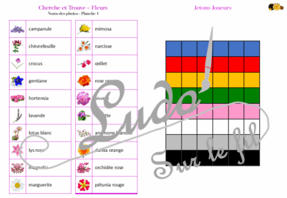 Cherche et Trouve - Fleurs – Image 4