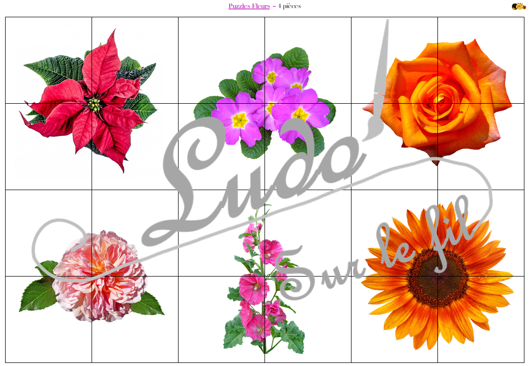Puzzles personnalisables avec le texte ou la photo de votre choix – Mieux  Que Des Fleurs