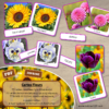 Jeu de cartes type Montessori (classifiées et de nomenclature) - Fleurs et Plantes - connues et moins connues - Jardin, balcon, exotique, champs - Photos réelles - Autocorrection au dos (noms pour lecteurs, symboles pour non lecteur) - 3 graphies disponibles - Script, majuscule, cursif - Document PDF à télécharger et imprimer ou jeu imprimé - Printemps, nature et végétaux - 77 cartes - Tickets de lecture - atelier autocorrectif maternelle élémentaire - Cycle 1 ou 2 - discrimination visuelle, observation, culture générale, lecture de mots, langage oral, lexique - lslf