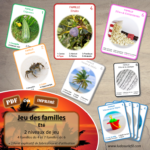 Jeu des familles - Eté - Ludo Sur Le Fil