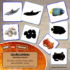 Jeu des ombres - Animaux marins - Mammifères, crustacés, poissons, coquillages... - Océans, mer et été - Vocabulaire, lexique - cartes à associer aux ombres - document PDF à télécharger et à imprimer ou jeu imprimé - atelier autocorrectif et autonome maternelle - lslf