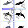 Jeu des ombres - Animaux marins - Mammifères, crustacés, poissons, coquillages... - Océans, mer et été - Vocabulaire, lexique - cartes à associer aux ombres - document PDF à télécharger et à imprimer ou jeu imprimé - atelier autocorrectif et autonome maternelle - lslf