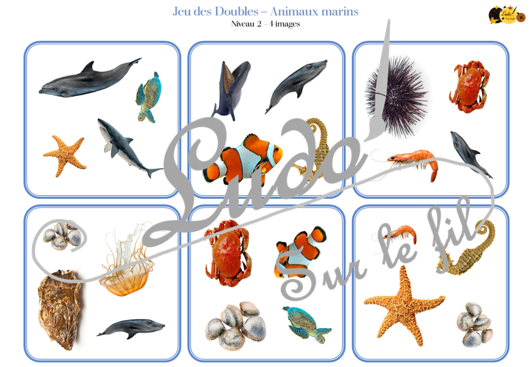 Jeu de cartes a créer animaux marins