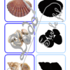 Jeu des ombres - Animaux marins - Mammifères, crustacés, poissons, coquillages... - Océans, mer et été - Vocabulaire, lexique - cartes à associer aux ombres - document PDF à télécharger et à imprimer ou jeu imprimé - atelier autocorrectif et autonome maternelle - lslf