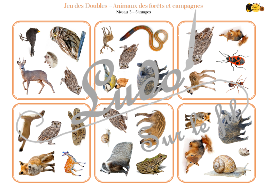 Animal Des Forets 4 Lettres ludosurlefil.com