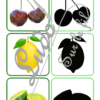 Jeu des ombres - Fruits - Fruits classiques et locaux, exotiques, à coque - Vocabulaire, lexique - cartes à associer aux ombres - document PDF à télécharger et à imprimer ou jeu imprimé - atelier autocorrectif et autonome maternelle - Alimentation et Printemps - lslf