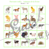 Suis les parcours codés - Animaux de la ferme - codage, repérage et vocabulaire spatial - jeu et atelier autonome et autocorrectif Maternelle (Cycle 1) et Primaire (Cycle 2) - Niveaux et difficulté progressifs - PDF à télécharger et à imprimer ou jeu imprimé - difficulté progressive et solutions - lslf