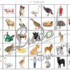 Cherche et Trouve - Animaux de la ferme - Photos - Lynx - ovins, équidés, bovins, cochons, oiseaux, basse-cour, domestiques, objets, outils, personnages, véhicules, lieux...- Photos sur fond blanc - 4 planches pour un plateau modulable à souhait et différents niveaux de jeu - jusqu'à 100 cartes à trouver - jeu observation et rapidité - PDF à télécharger et à imprimer ou jeu imprimé - atelier maternelle - Noms des éléments et animaux - lslf