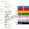 Cherche et Trouve - Animaux de la ferme - Photos - Lynx - ovins, équidés, bovins, cochons, oiseaux, basse-cour, domestiques, objets, outils, personnages, véhicules, lieux...- Photos sur fond blanc - 4 planches pour un plateau modulable à souhait et différents niveaux de jeu - jusqu'à 100 cartes à trouver - jeu observation et rapidité - PDF à télécharger et à imprimer ou jeu imprimé - atelier maternelle - Noms des éléments et animaux - lslf