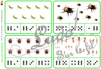 Jeu de cartes à pince de dénombrement de 1 à 15 - Thème Insectes et Petites Bêtes - 30 cartes autocorrectives avec différentes représentations des nombres - constellations du dé, chiffres, doigts de la main, mélangé - compter de 1 à 15 - 120 cartes réparties en 4 niveaux de difficulté - progressif - Autocorrection au dos - Atelier autonome maternelle ou élémentaire - Cycles 1 et 2 - Document PDF à télécharger et imprimer ou jeu imprimé - Motricité fine et pince Pouce-Index avec pinces à linge - ludique - Thème printemps, animaux, jardin- lslf