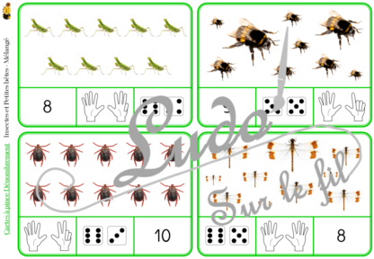 Jeu de cartes à pince de dénombrement de 1 à 15 - Thème Insectes et Petites Bêtes - 30 cartes autocorrectives avec différentes représentations des nombres - constellations du dé, chiffres, doigts de la main, mélangé - compter de 1 à 15 - 120 cartes réparties en 4 niveaux de difficulté - progressif - Autocorrection au dos - Atelier autonome maternelle ou élémentaire - Cycles 1 et 2 - Document PDF à télécharger et imprimer ou jeu imprimé - Motricité fine et pince Pouce-Index avec pinces à linge - ludique - Thème printemps, animaux, jardin- lslf