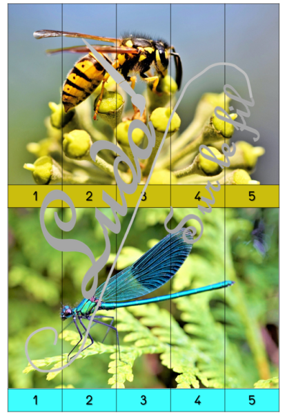 Jeu Puzzles numériques - Insectes et autres petites bêtes du jardin - 28 puzzles en 9 niveaux progressifs - Suite numérique de 1 à 20 - Comptage de 2 en 2 - Chiffres pairs et impairs - Comptage de 10 en 10 - Connaissance Chiffres et Dizaines - Mathématiques - Comptine numérique - Printemps, nature, animaux - Atelier autonome maternelle et élémentaire - PDF à télécharger et imprimer ou jeu imprimé - cycles 1 ou 2 - lslf